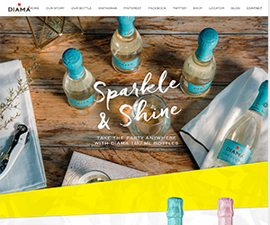 website2