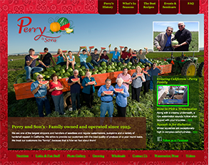 website3